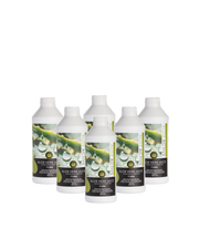 Aloe Vera Juice Pack | Box of 6
