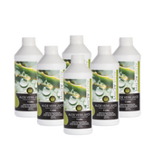 Six bottles of Aloe Active Aloe Vera Juice on a white background